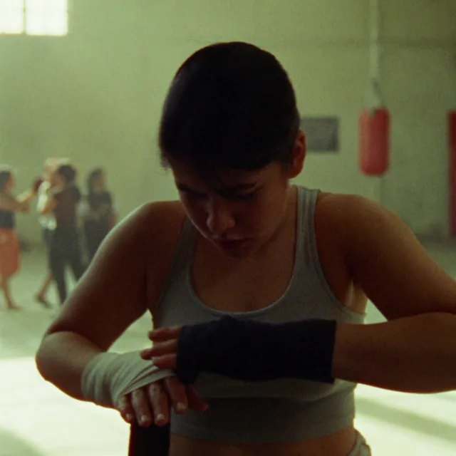 Boxing creator